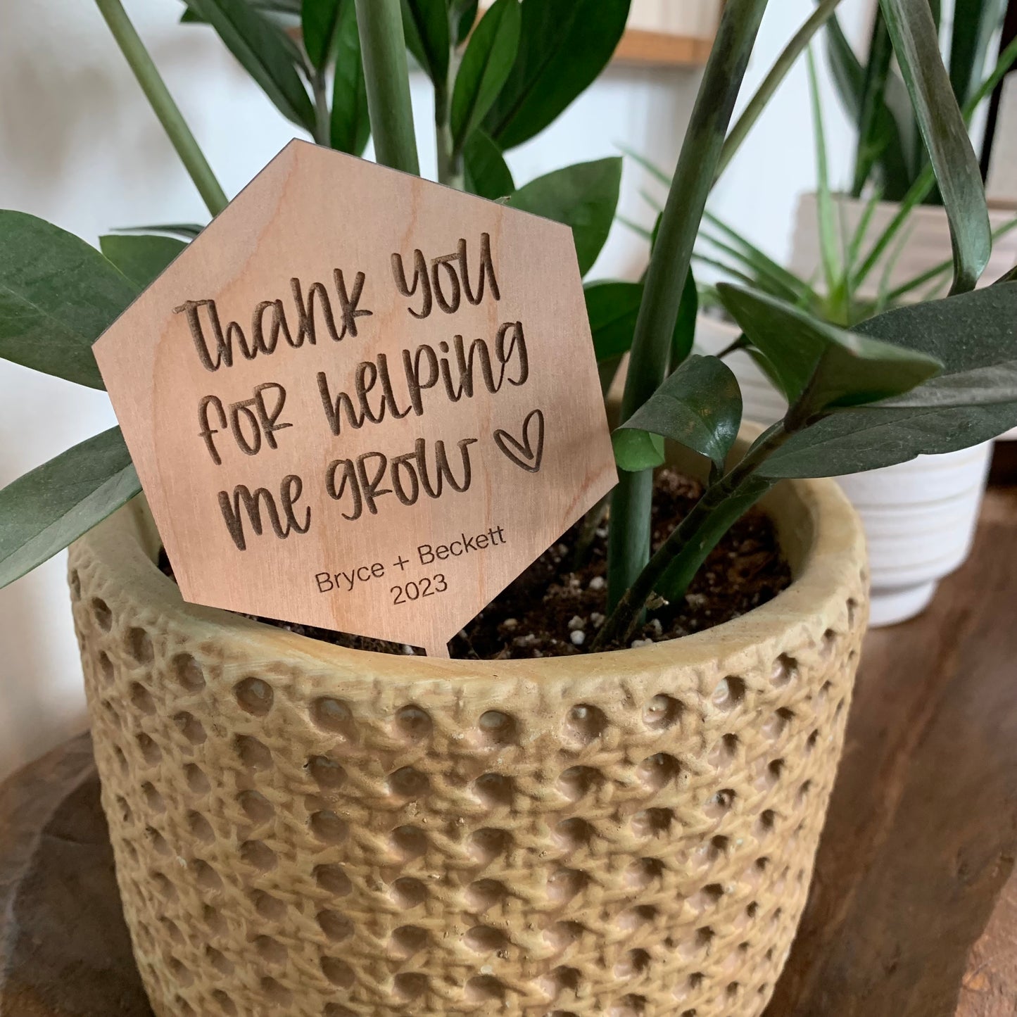 Thank You For Helping Me Grow Plant Stakes