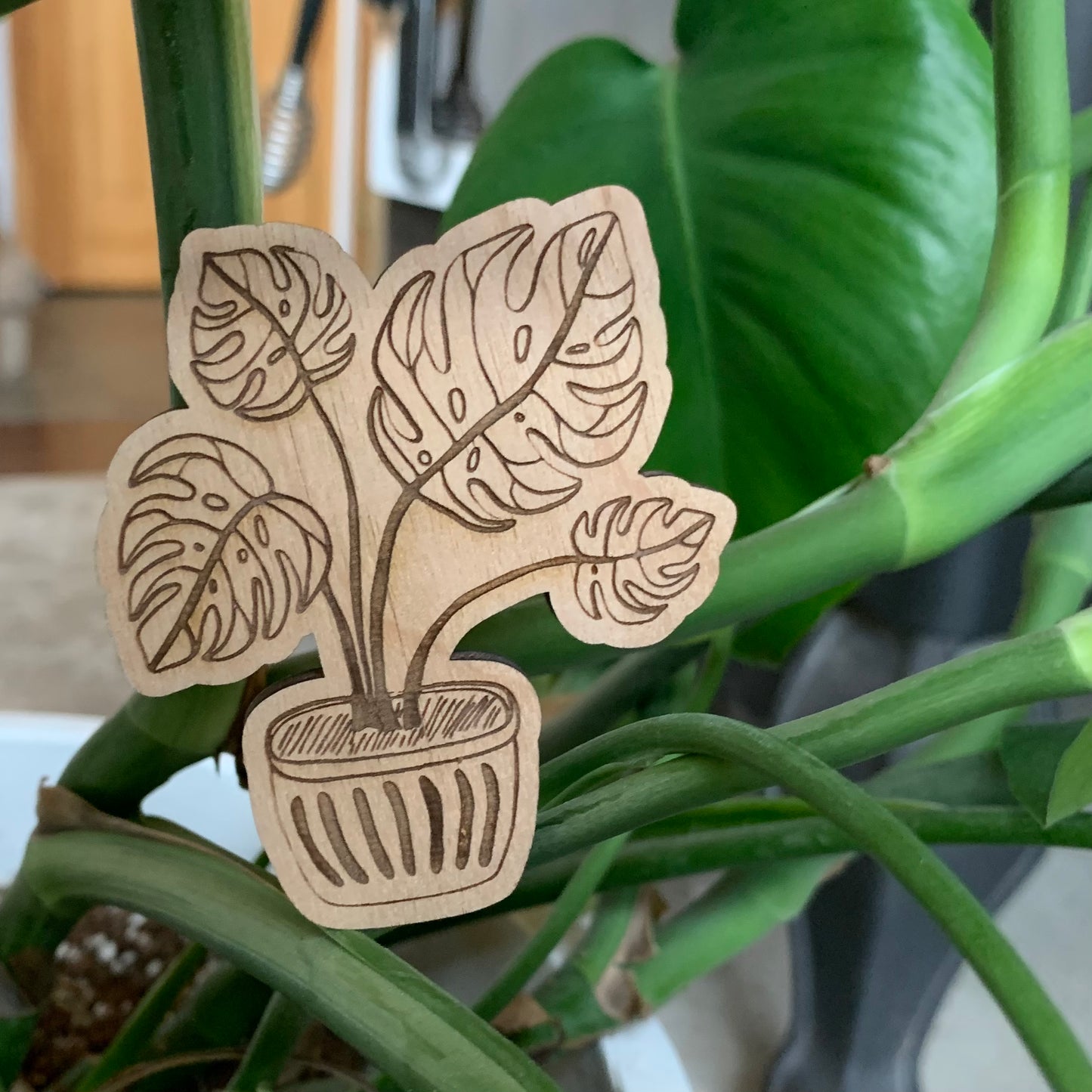Houseplant Magnets
