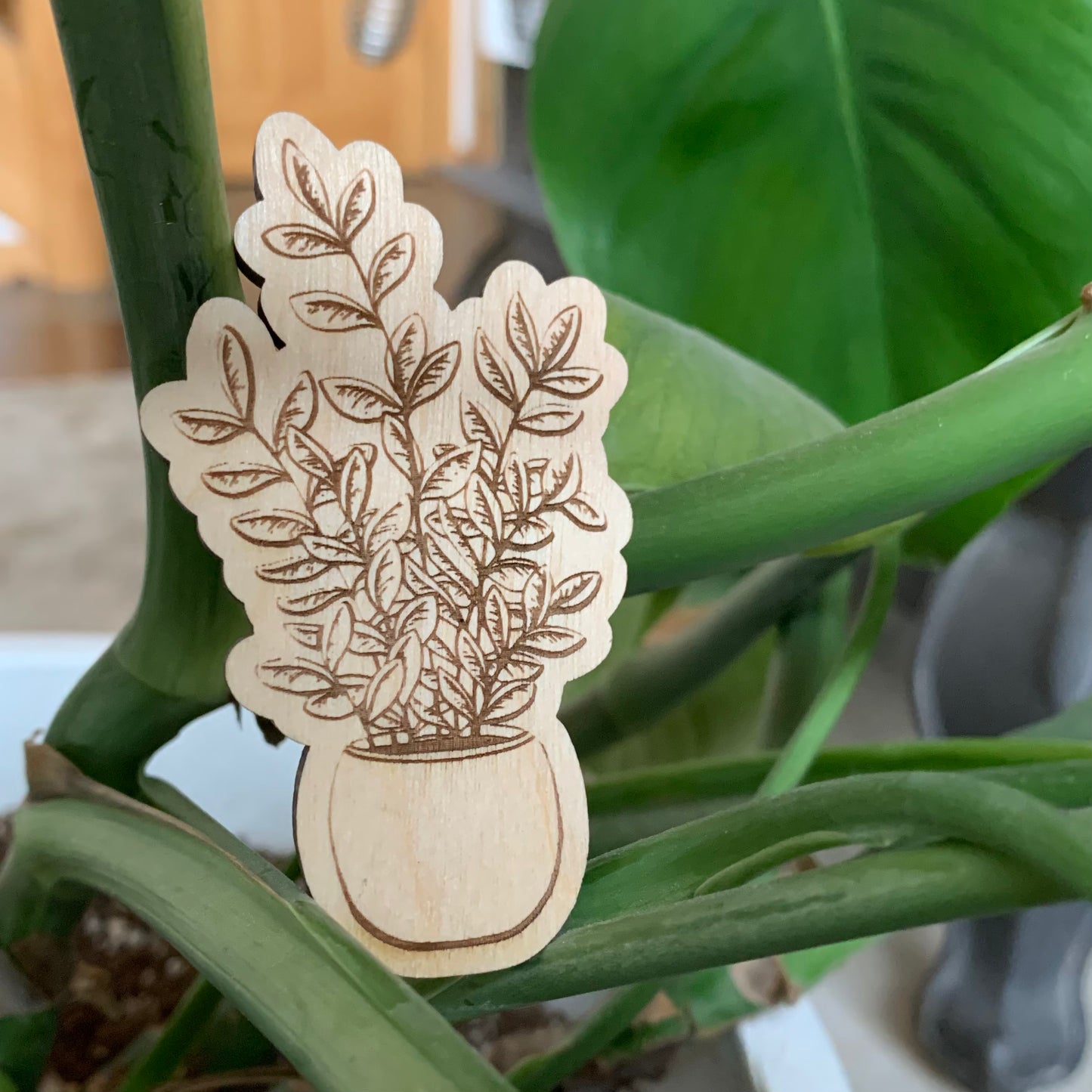 Houseplant Magnets