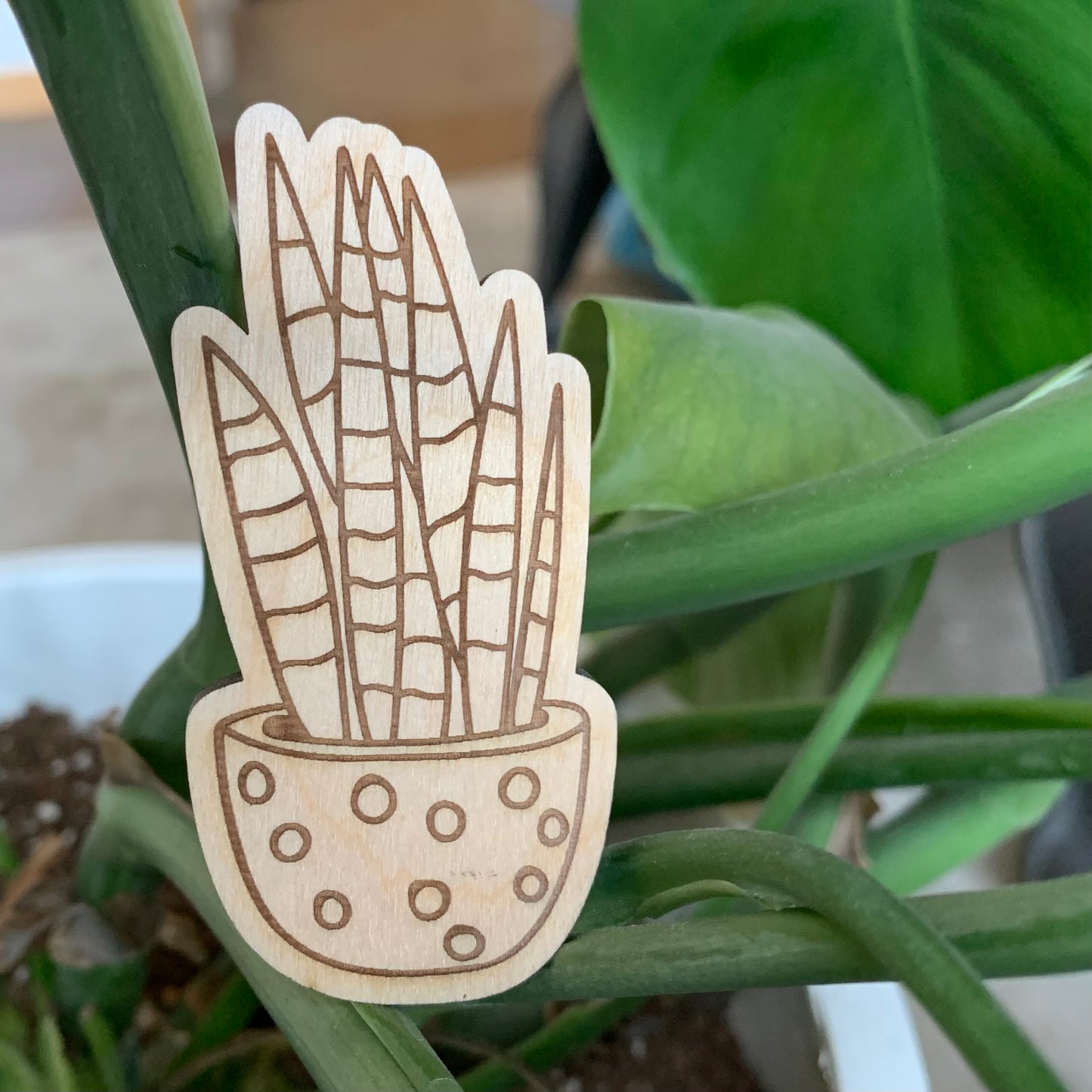 Houseplant Magnets