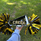 Cheer Sticks