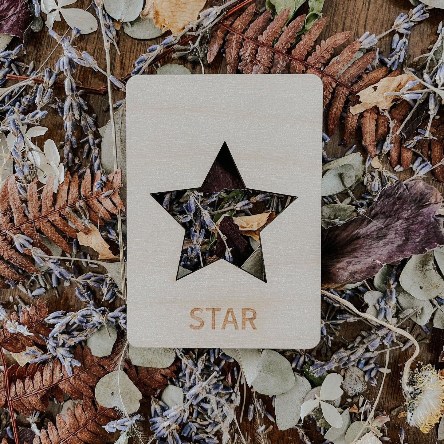 Shape Tracing | 10 Flash Cards