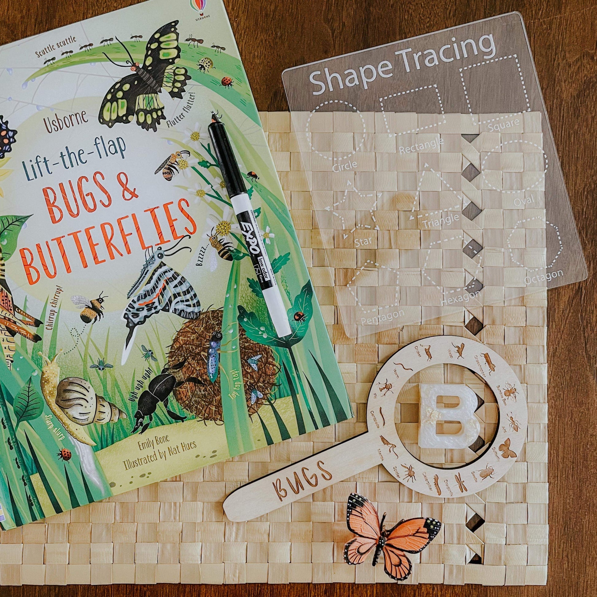 Bug Finder – Lakeside Creative