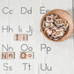 Letter Matching | Uppercase and Lowercase